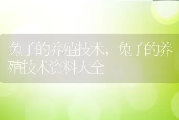 兔子的养殖技术,兔子的养殖技术资料大全