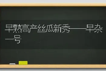 早熟高产丝瓜新秀——早杂一号