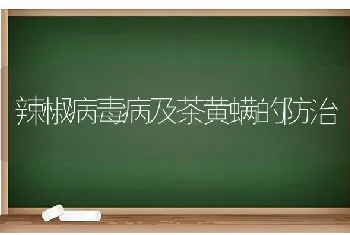 辣椒病毒病及茶黄螨的防治