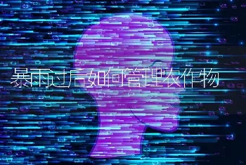 暴雨过后如何管理农作物