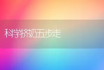 科学挤奶五步走