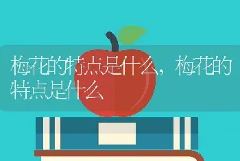 梅花的特点是什么