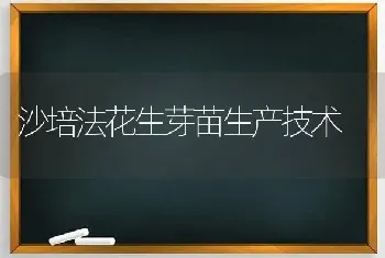 沙培法花生芽苗生产技术