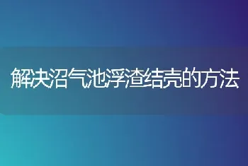 解决沼气池浮渣结壳的方法