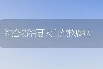 李子树栽培技管理巧