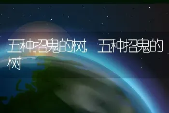 五种招鬼的树