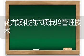 花卉矮化的六项栽培管理技术