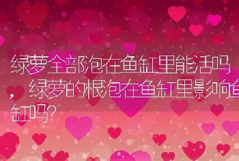 绿萝全部泡在鱼缸里能活吗