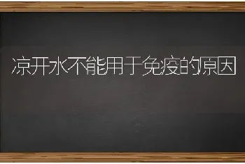 凉开水不能用于免疫的原因