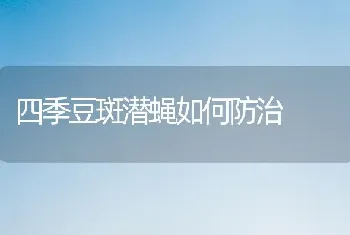 四季豆斑潜蝇如何防治