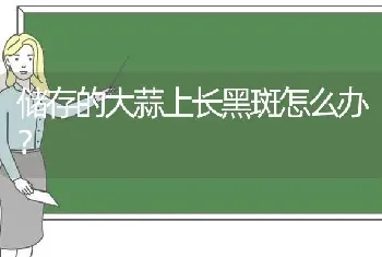 储存的大蒜上长黑斑怎么办?