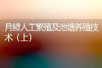 月鳢人工繁殖及池塘养殖技术(上)