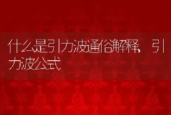 什么是引力波通俗解释