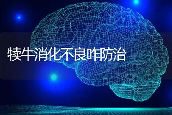 犊牛消化不良咋防治