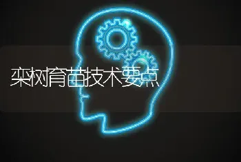 栾树育苗技术要点