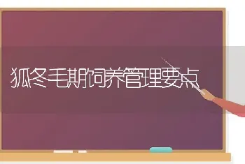 狐冬毛期饲养管理要点