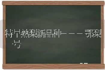 特早熟梨新品种---鄂梨一号