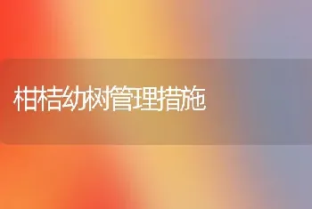 柑桔幼树管理措施