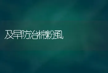 及早防治棉粉虱