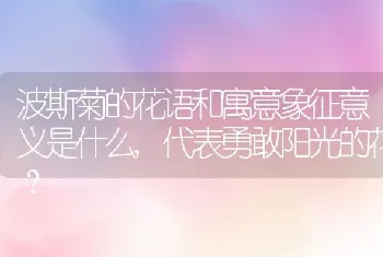 波斯菊的花语和寓意象征意义是什么