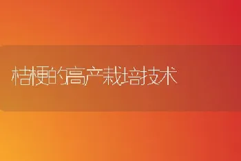 桔梗的高产栽培技术