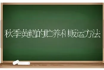 秋季黄鳝的贮养和贩运方法