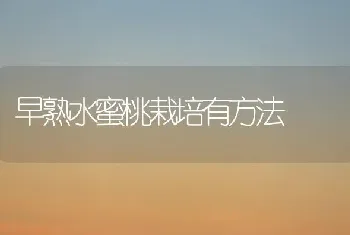 早熟水蜜桃栽培有方法