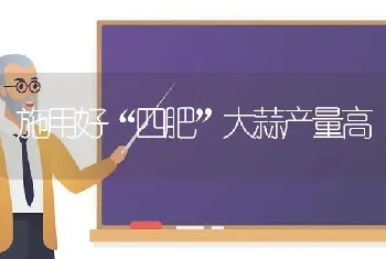 施用好“四肥”大蒜产量高