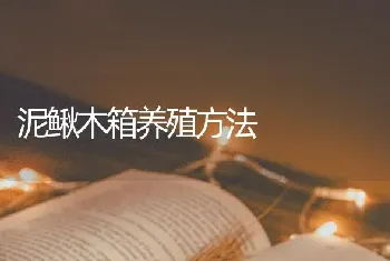 泥鳅木箱养殖方法