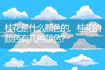 桂花是什么颜色的