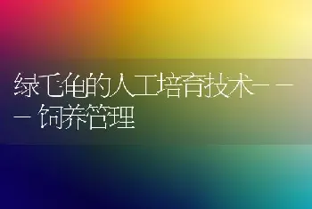 绿毛龟的人工培育技术---饲养管理