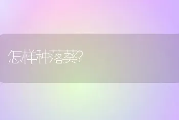 怎样种落葵?