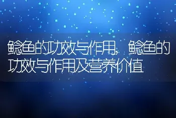 拉尿带血是怎么回事