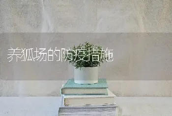 养狐场的防疫措施