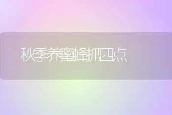 秋季养蜜蜂抓四点