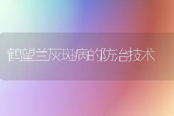 鹤望兰灰斑病的防治技术