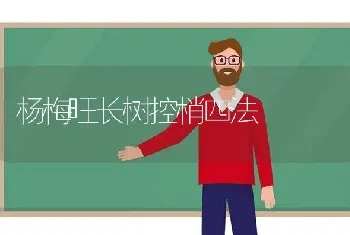 杨梅旺长树控梢四法