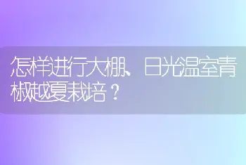 怎样进行大棚、日光温室青椒越夏栽培?