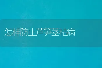 怎样防止芦笋茎枯病