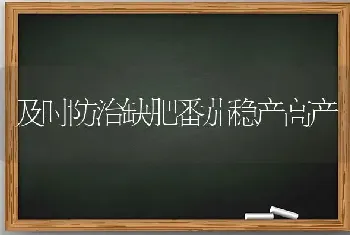 及时防治缺肥番茄稳产高产