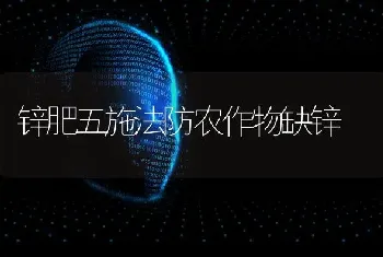 锌肥五施法防农作物缺锌