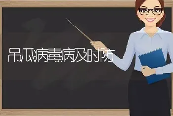 吊瓜病毒病及时防