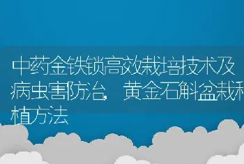 中药金铁锁高效栽培技术及病虫害防治