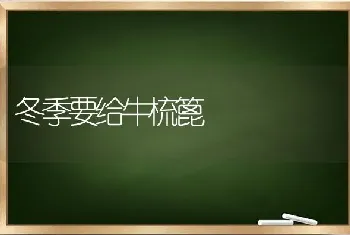 冬季要给牛梳篦