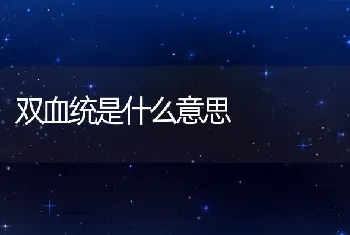 双血统是什么意思