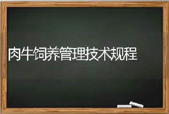 肉牛饲养管理技术规程