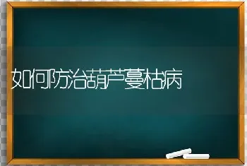 如何防治葫芦蔓枯病