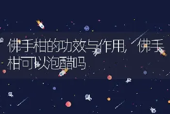 佛手柑的功效与作用