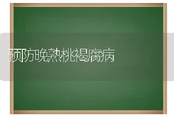 预防晚熟桃褐腐病