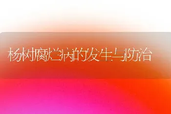 杨树腐烂病的发生与防治